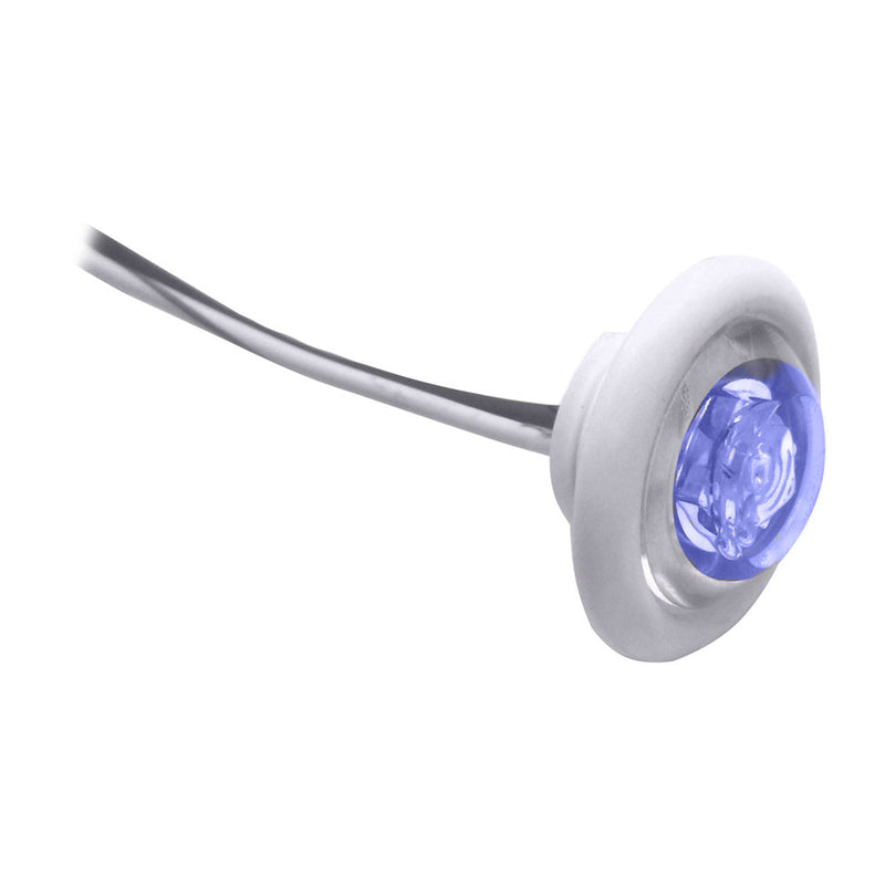 Innovative Lighting LED Bulkhead-Livewell Light "The Shortie" Blue LED w- White Grommet